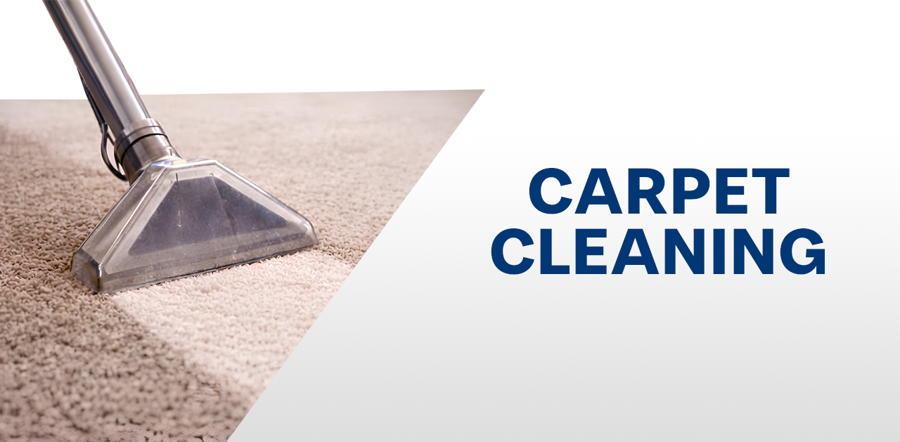 Reliable Carpet Cleaning Solutions