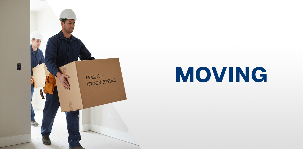 Professional Moving Services