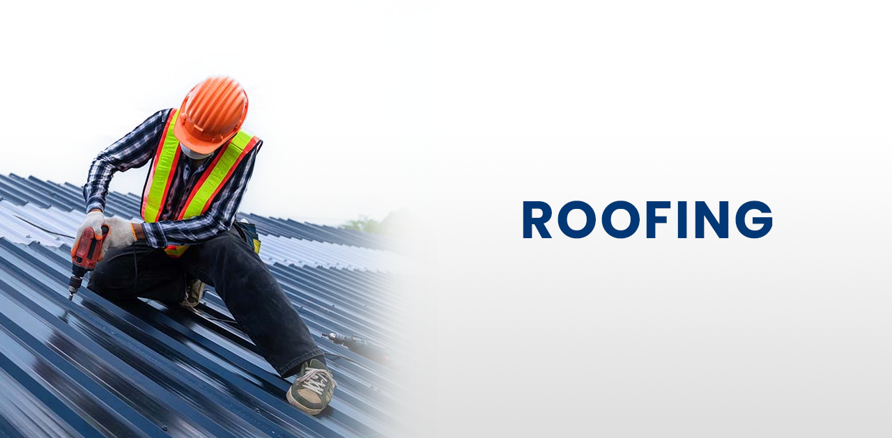 Professional Roofing Services