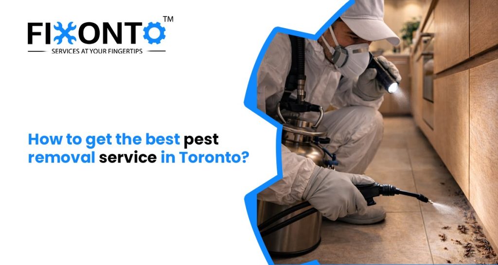 How To Get The Best Pest Removal Service In Toronto?