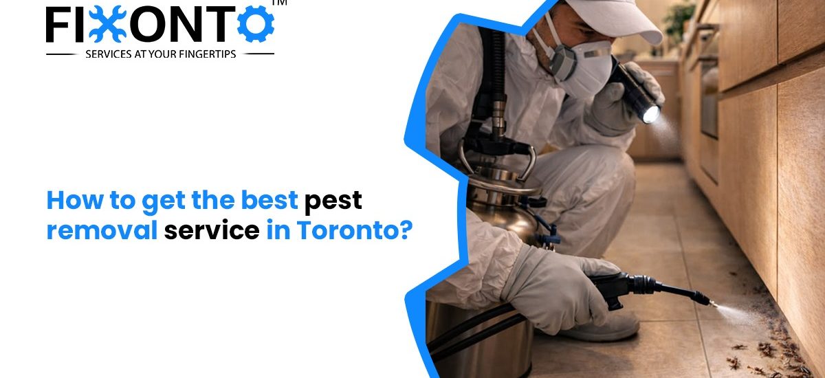 How To Get The Best Pest Removal Service In Toronto?