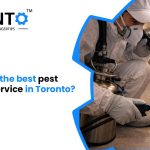 How To Get The Best Pest Removal Service In Toronto?