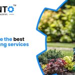 How To Hire The Best Landscaping Services Provider?