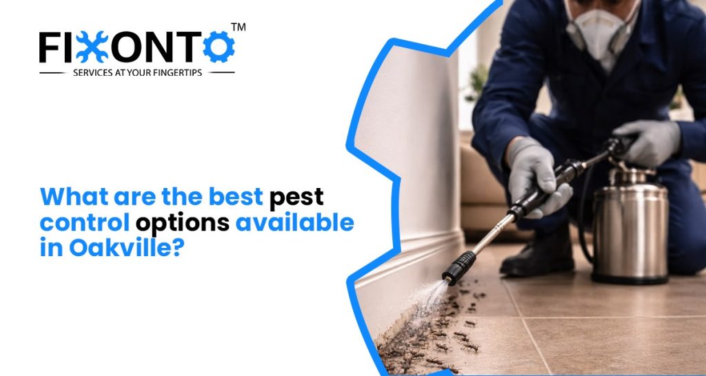 What Are The Best Pest Control Options Available In Oakville?