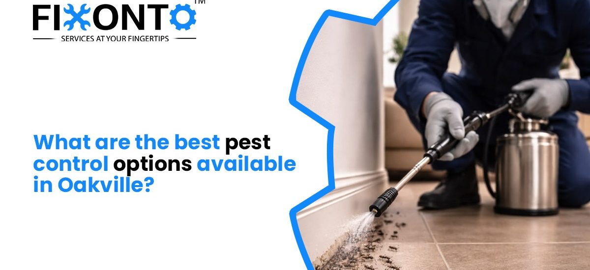 What Are The Best Pest Control Options Available In Oakville?