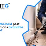 What Are The Best Pest Control Options Available In Oakville?