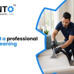 How To Get A Professional For Sofa Cleaning Services?