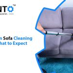 Georgetown Sofa Cleaning Services: What To Expect