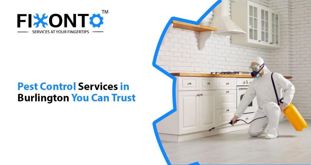 Pest Control Services In Burlington You Can Trust