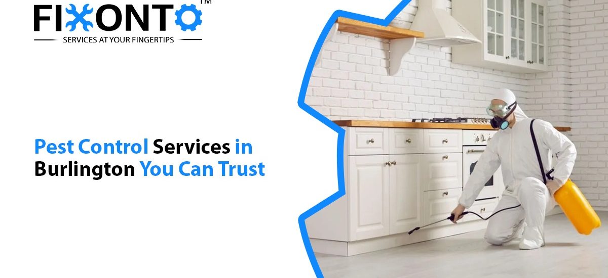 Pest Control Services In Burlington You Can Trust