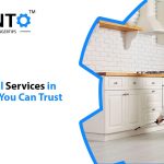Pest Control Services In Burlington You Can Trust
