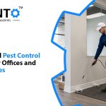 Commercial Pest Control Services For Offices And Retail Spaces